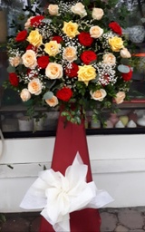 Hoa chúc mừng VPHCM010922850